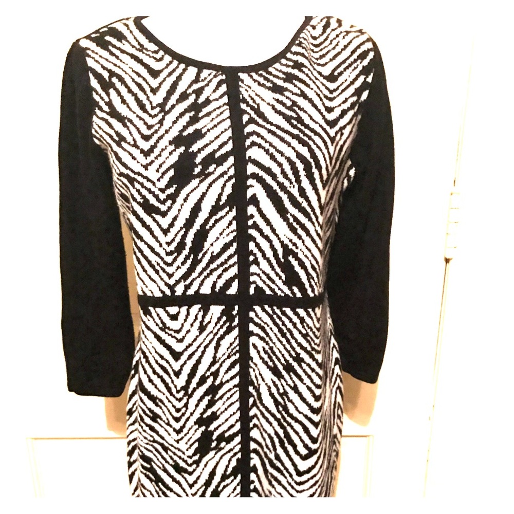 Zebra Striped Sweater Dress
